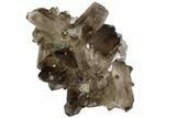 Dark Smoky Quartz Crystal Cluster - Brazil #84311-1